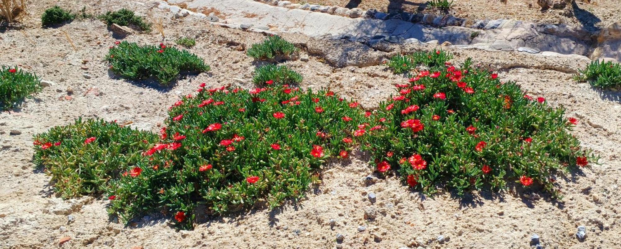فيلا Cuevas Azul بازا المظهر الخارجي الصورة